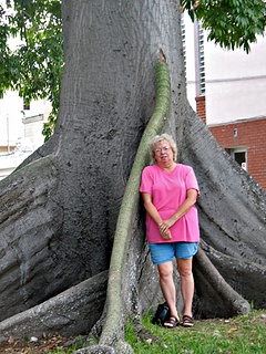 Mom with kapok tree