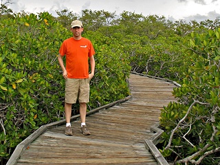 Michael in the mangroves