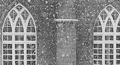Falling Snow