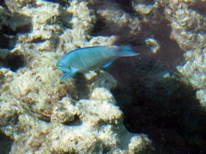 img_2465