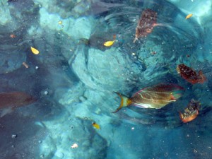 img_2467